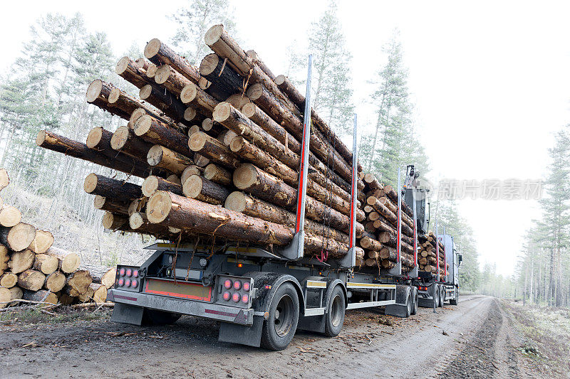 瑞典土路上的木材卡车