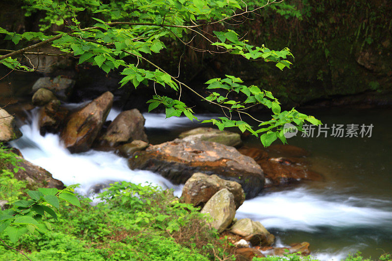 红溪河在中国桂林的原始森林里