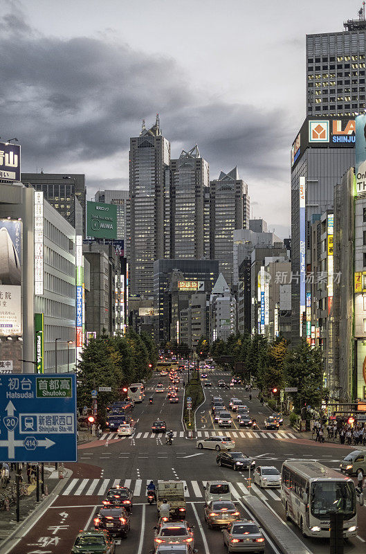 日本新宿人行横道