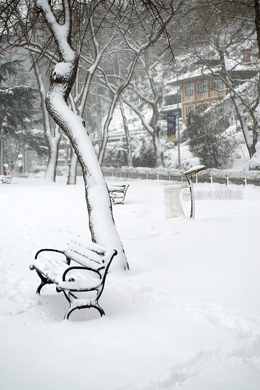 冬季公园里的长凳和树木被雪覆盖着