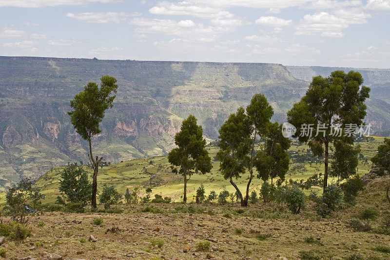 埃塞俄比亚风景，德布雷利巴诺斯峡谷