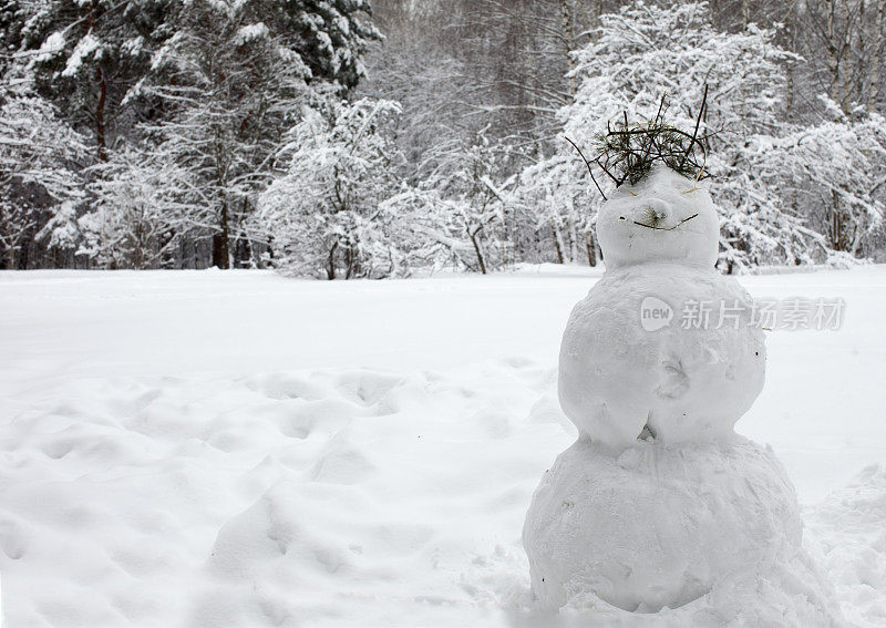 雪人。