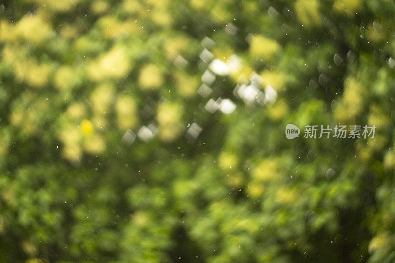 雨广场散景背景