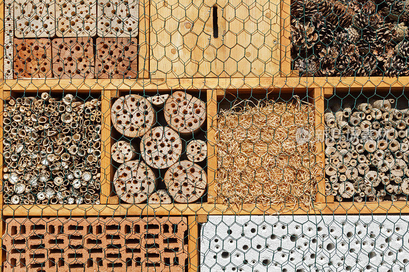 昆虫旅馆:为独居的蜜蜂和黄蜂提供人工筑巢帮助