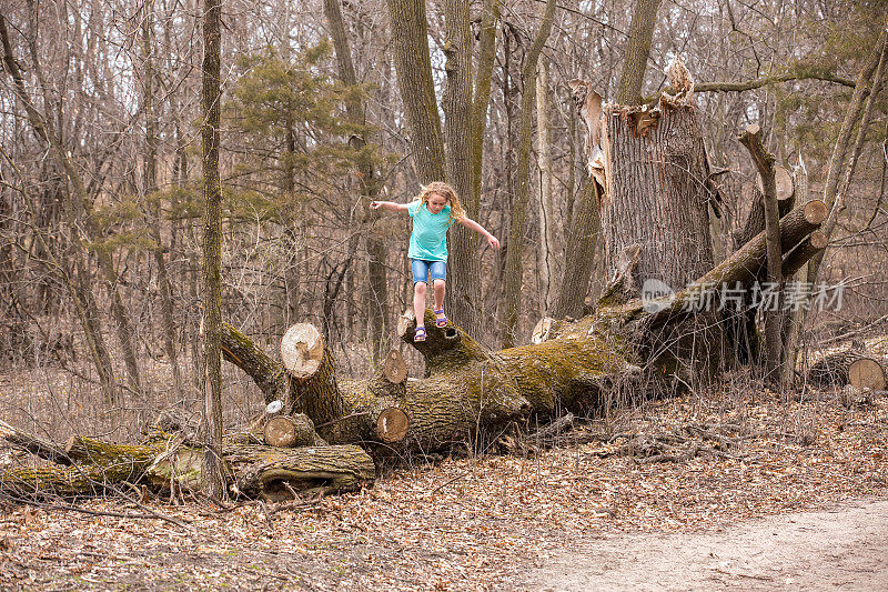 女孩在森林里的倒下的树上玩耍