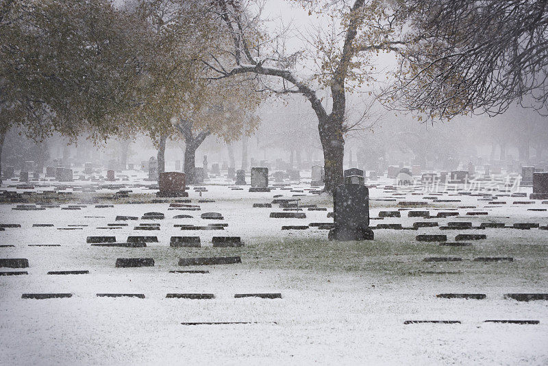 墓地在雪