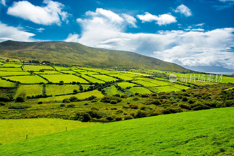 爱尔兰有牧场的乡村景观
