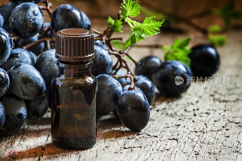 葡萄籽油在棕色的瓶子，葡萄串，藤蔓