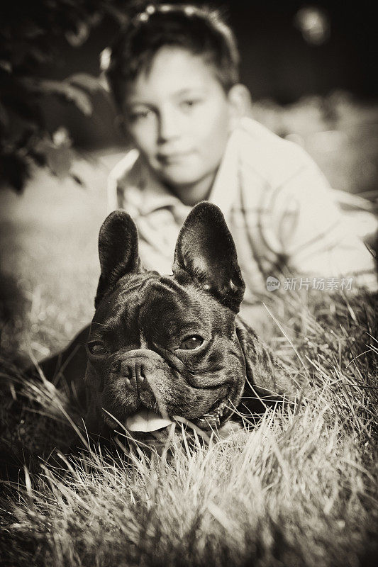 少年男孩肖像与法国斗牛犬