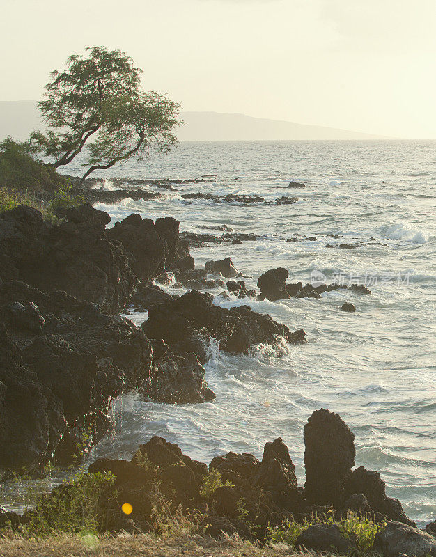 夏威夷的海岸线