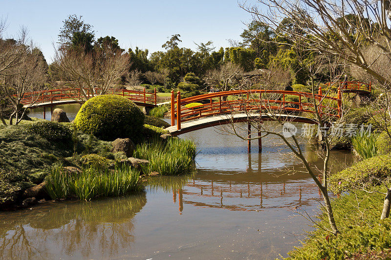 日本花园中的桥，Toowoomba，澳大利亚昆士兰