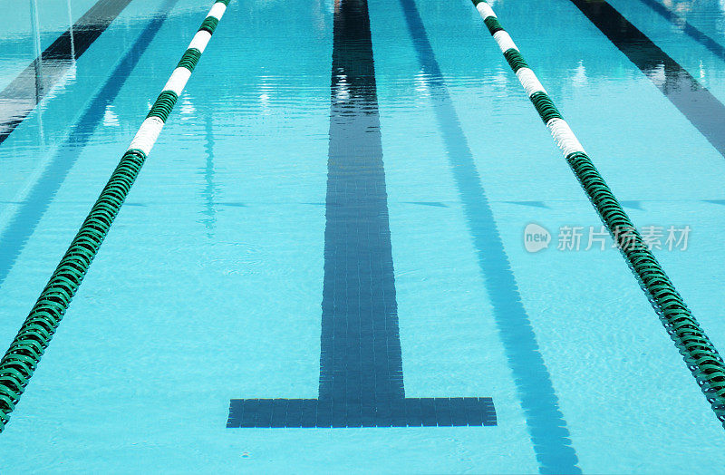 奥林匹克游泳池的泳道