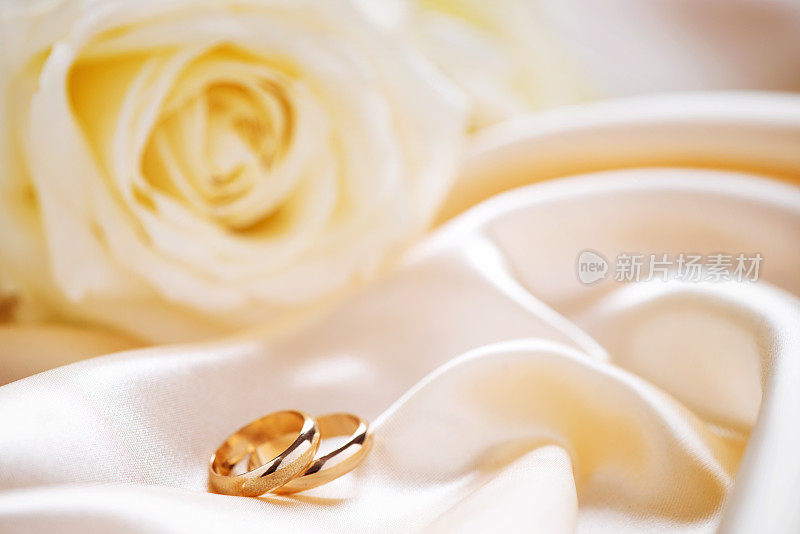 结婚戒指上的缎子和玫瑰与副本空间