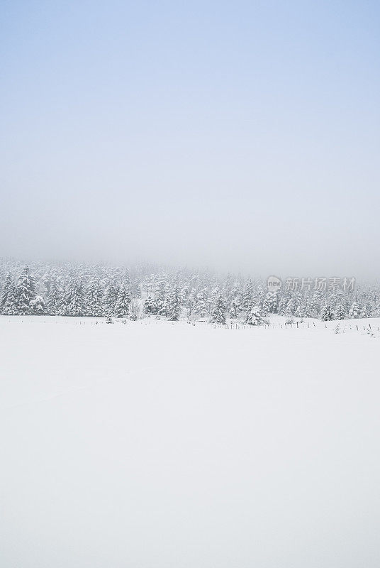 冬季景观与雪和树