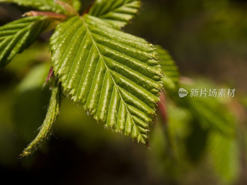 春季健康，宏观细节