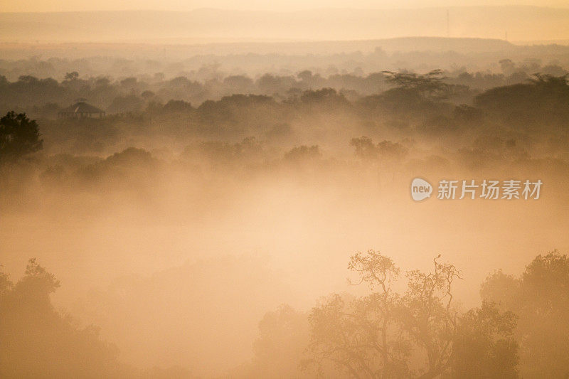 肯尼亚马赛马拉罕见的薄雾
