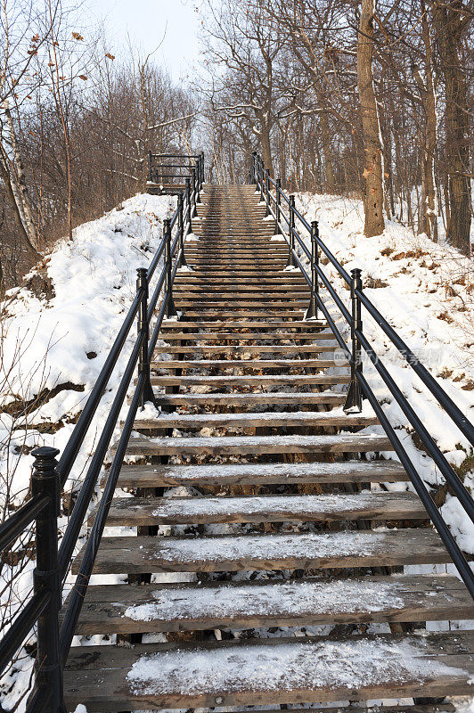 带着本季第一场雪登上皇家蒙特利尔山