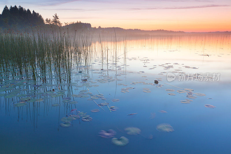 德国巴伐利亚州班瓦尔德湖的日落
