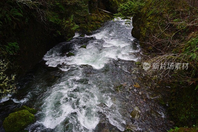 坦纳溪峡谷