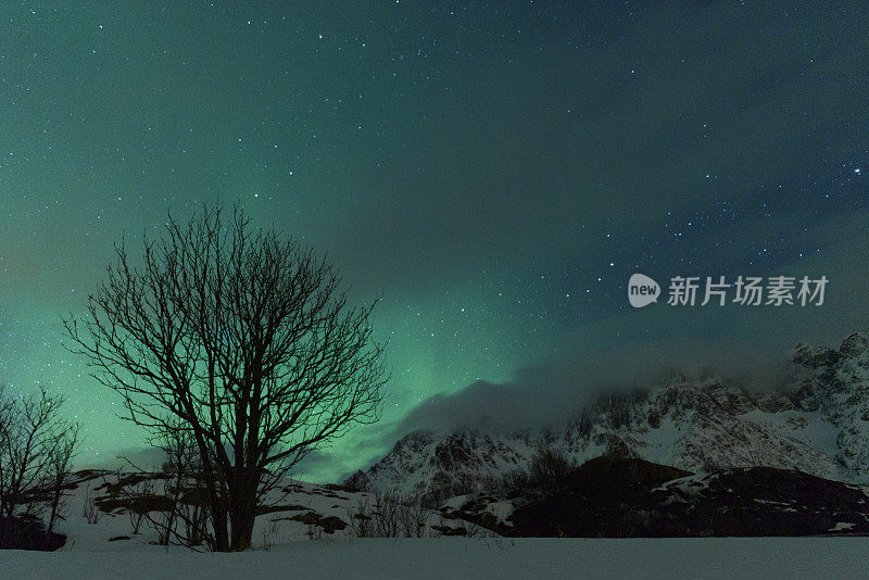 挪威罗浮敦群岛上空的北极光