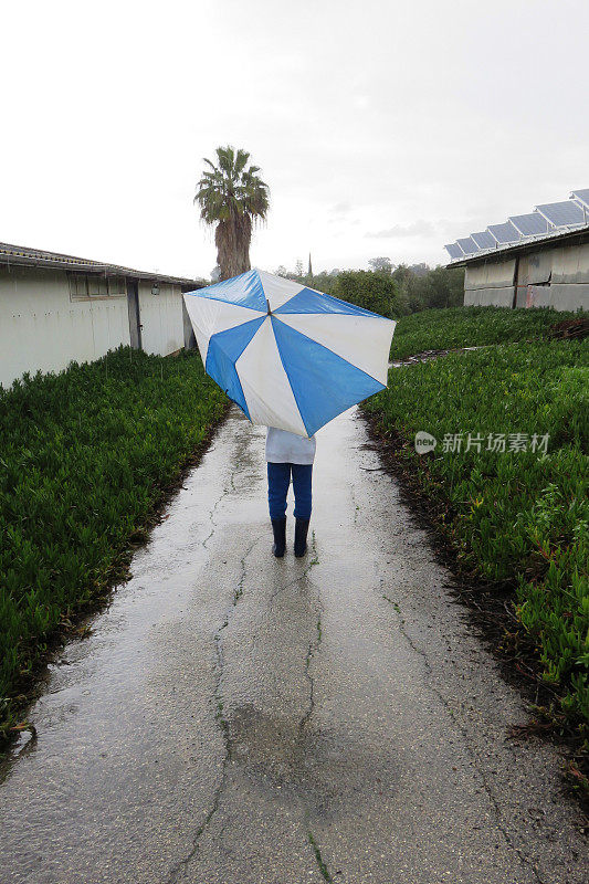 雨天水坑