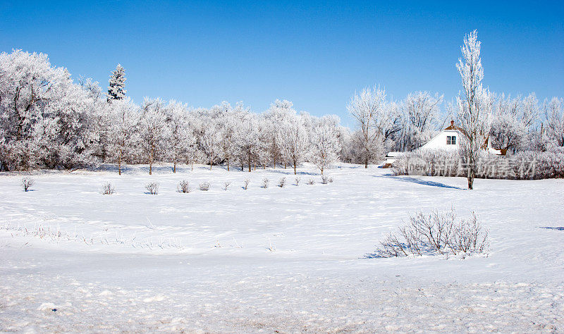 孤零零的房子，树上覆盖着冰柱和积雪