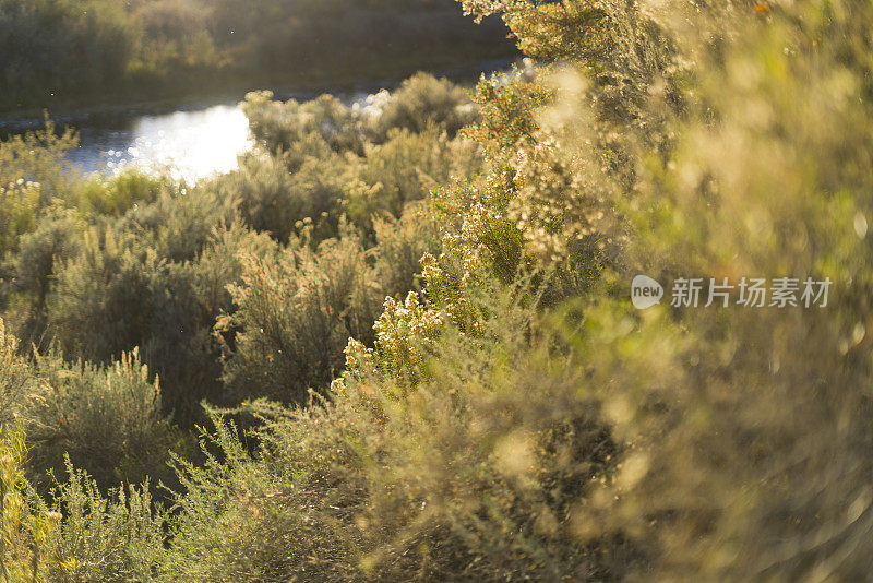 走到河边去钓飞鱼