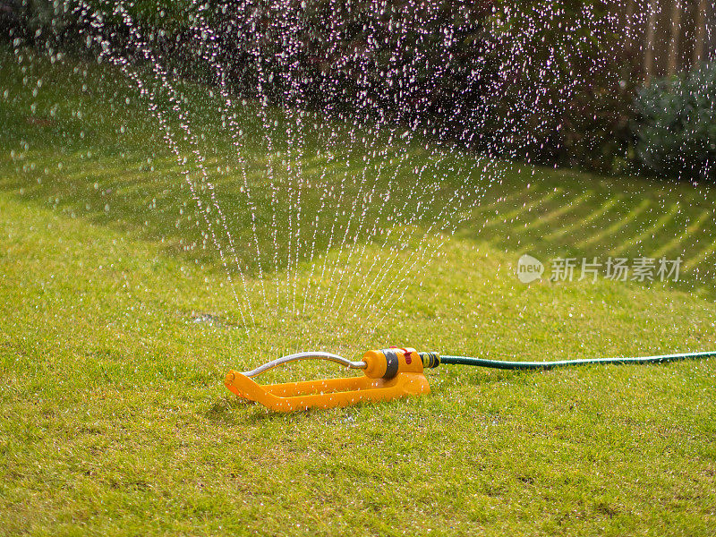 花园洒水器在草坪上。