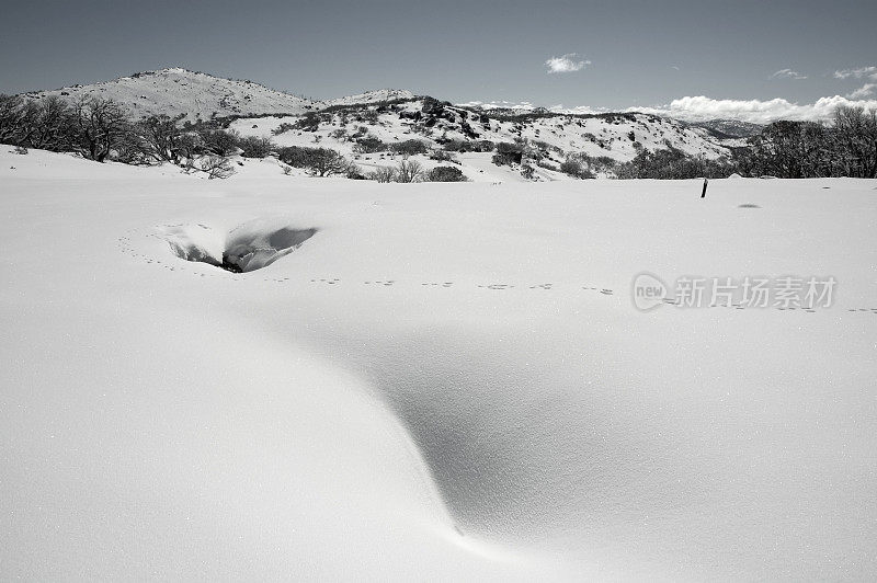 狐狸在雪地上留下的足迹