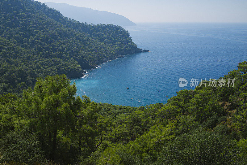 山，森林和海洋