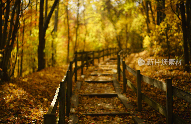 美国田纳西州Unicoi县梅特卡夫远眺区附近五颜六色的秋山森林里的木楼梯