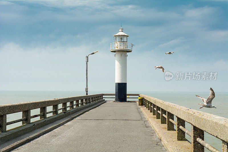 灯塔和海鸥