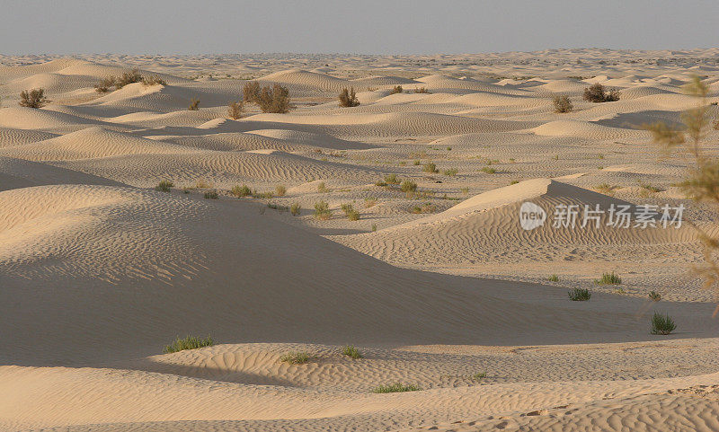 突尼斯沙漠-撒哈拉沙漠从Zaafrane附近的Douz村