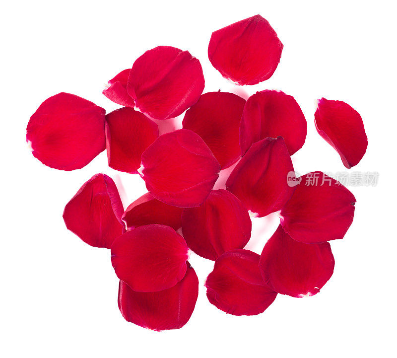 红色玫瑰花瓣配白色。