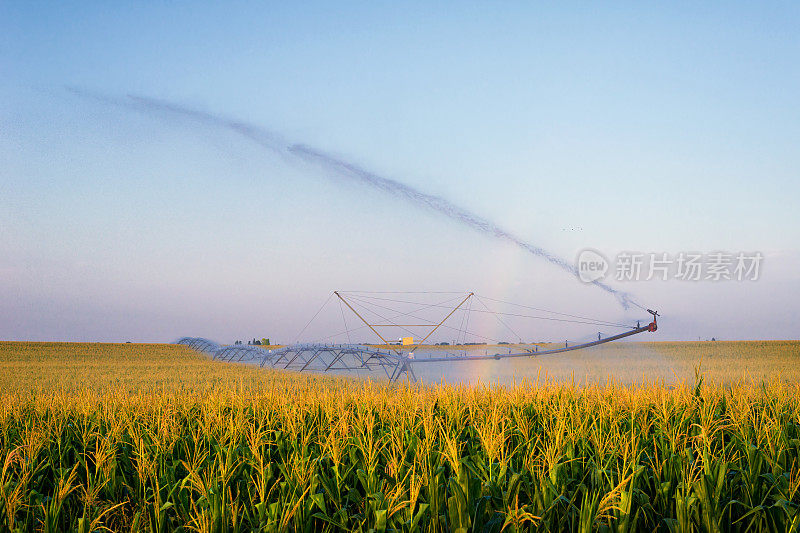 农业灌溉系统在夏季灌溉玉米田