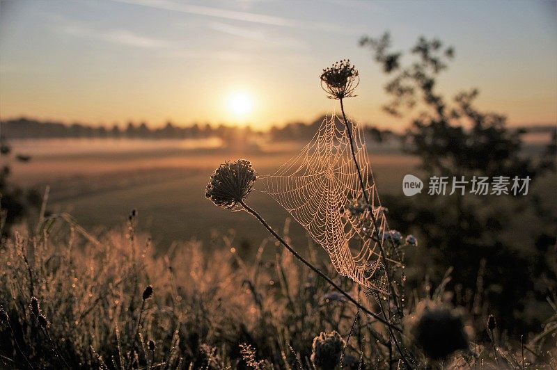 乡村的日出景象