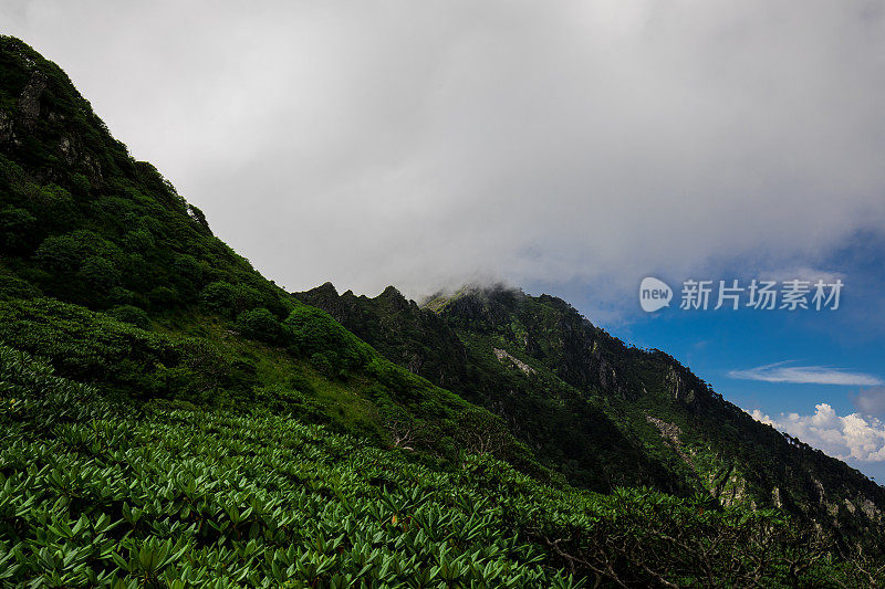 很棒的风景