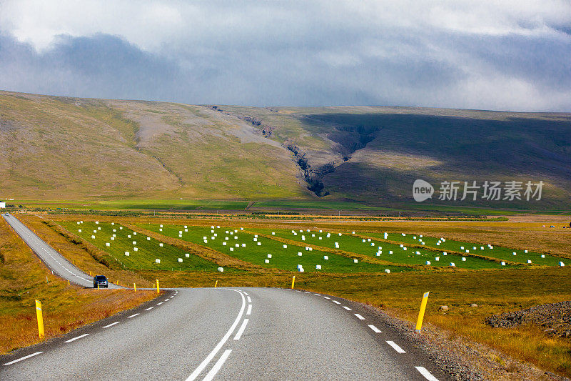 冰岛人称之为棉花糖的草堆