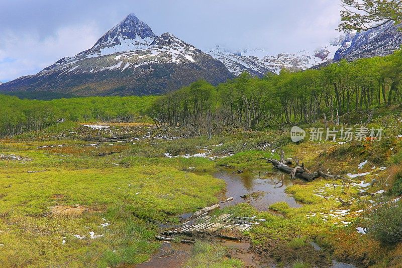 田园诗般的雪山安第斯景观，乌斯怀亚-火地岛，阿根廷