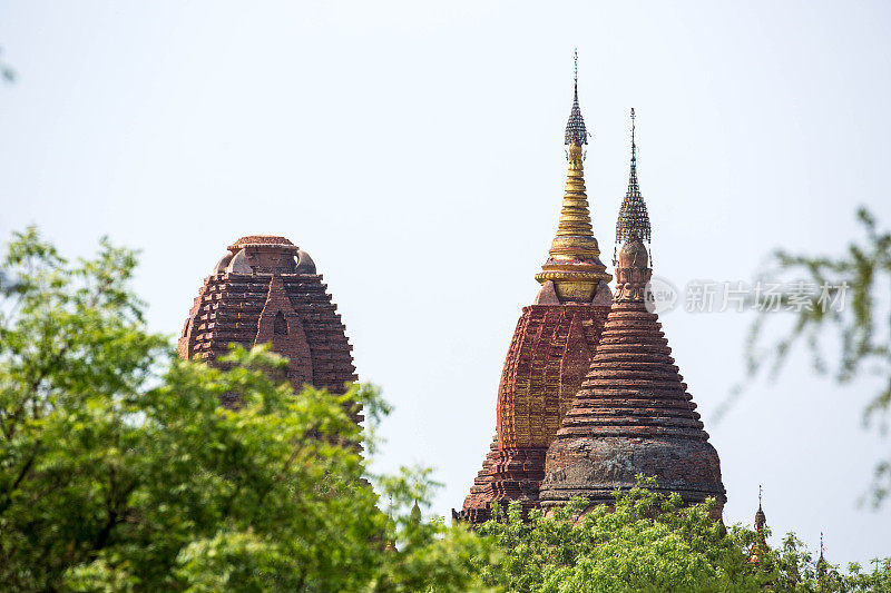 缅甸：辛迈尔信和帕塔达寺