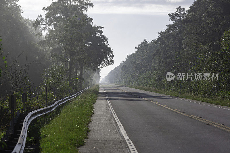 公路货运穿过森林