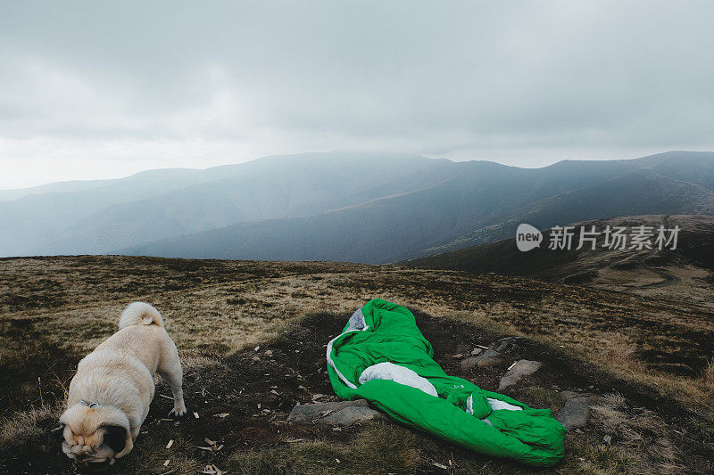 带狗在山里露营