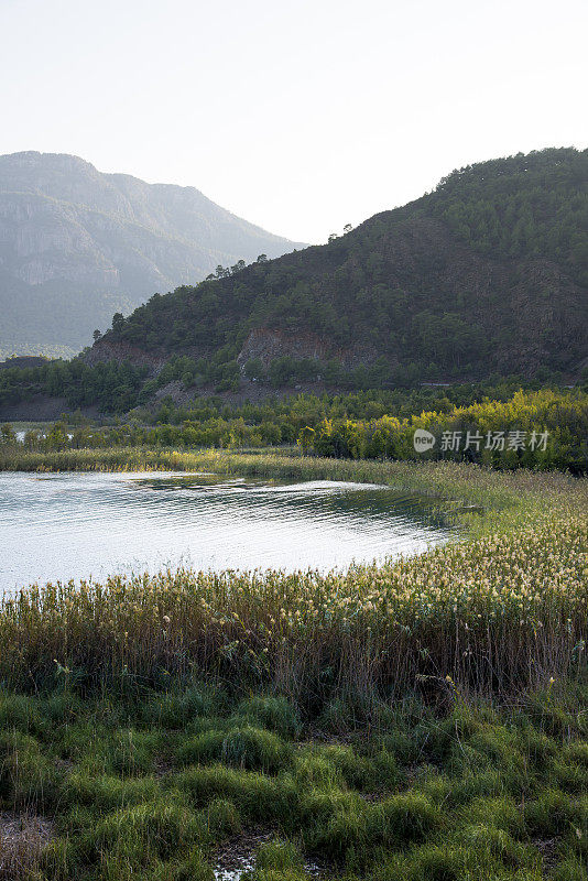 湖景