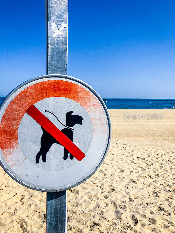 法国阿克松海滩禁止狗进入的标志