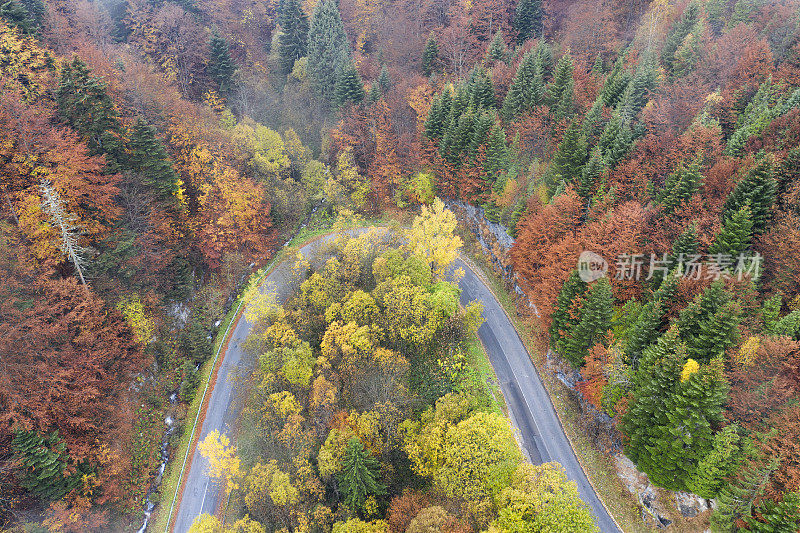 无人机:空中公路旅行-秋天的森林与弯曲的道路