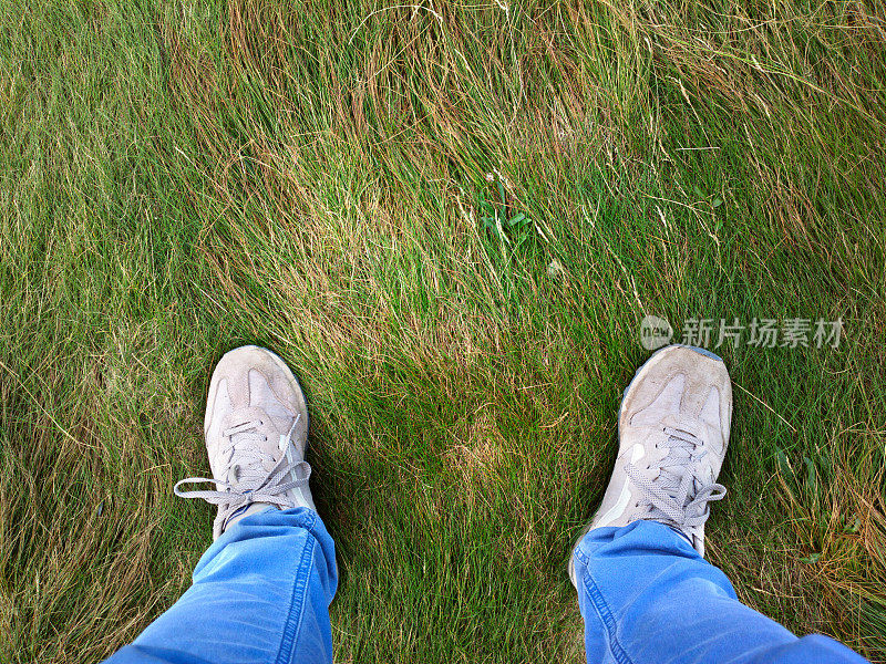 夏天的脚踩在绿草地上。