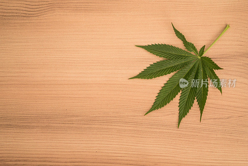 大麻叶子在一张木桌上