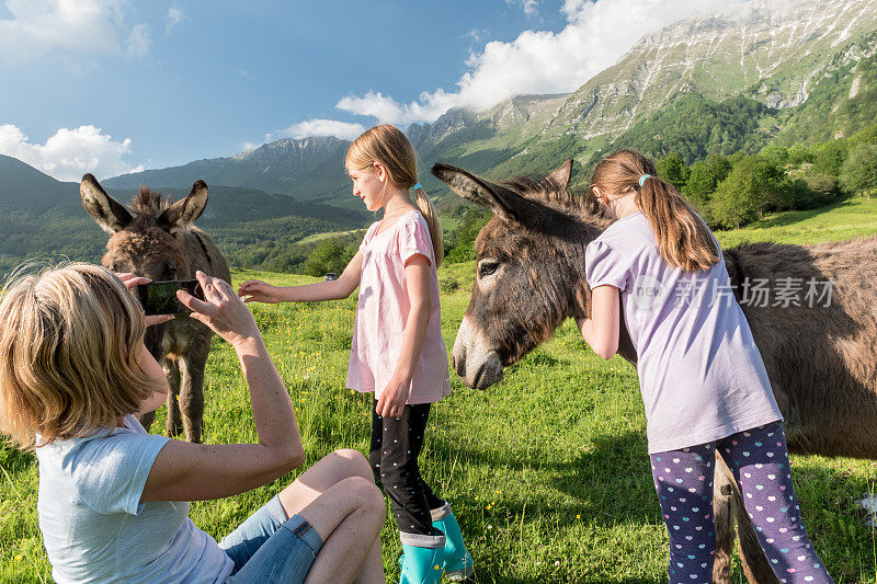 妈妈在高山牧场上拍女孩和驴玩耍的照片