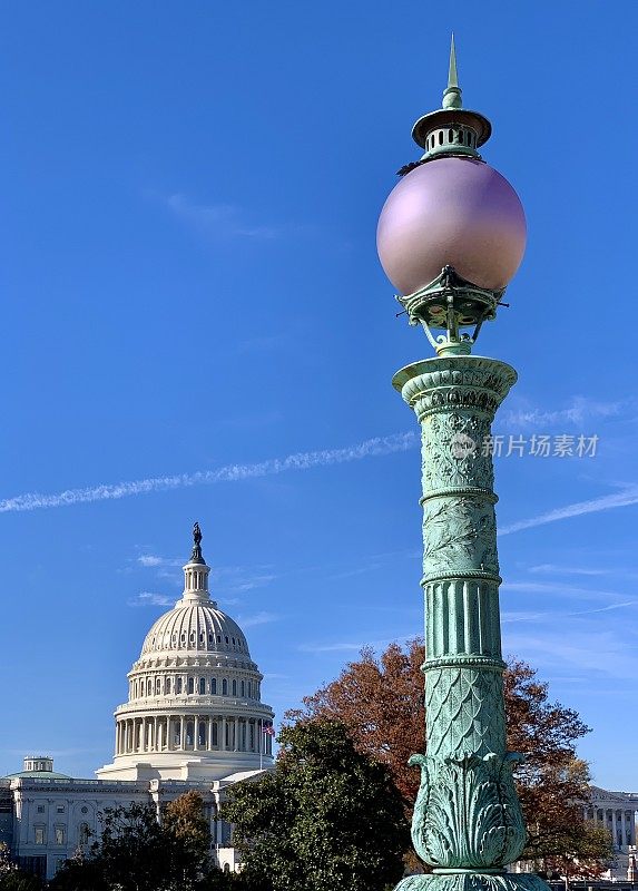 华盛顿特区国会图书馆的灯柱