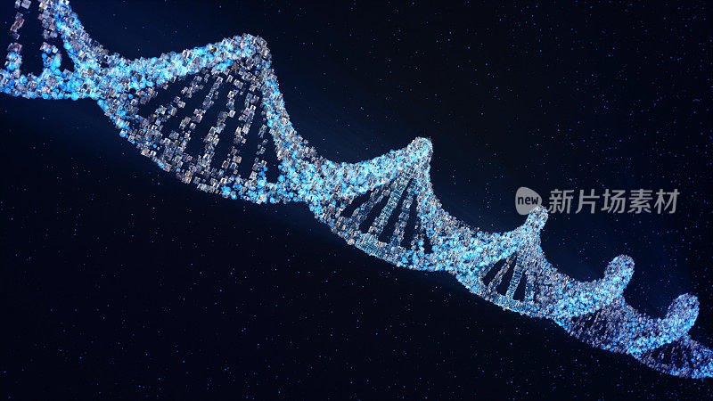 由照片组成的DNA分子模型